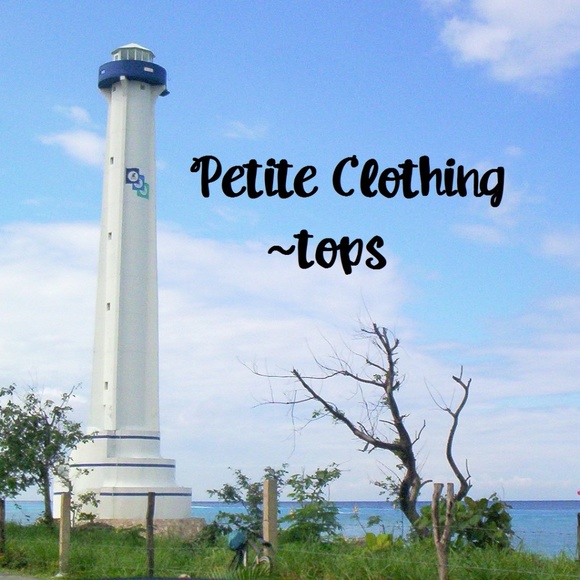 Petite Clothing ~ tops - Picture 1 of 1